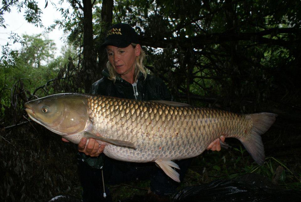 diverse 2 - 4863944874738646081121247755186n.jpg